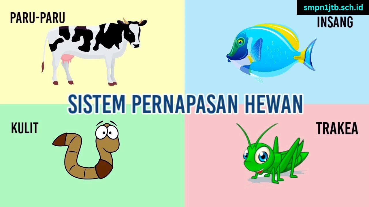 4 Jenis Sistem Pernapasan Hewan Non Mamalia